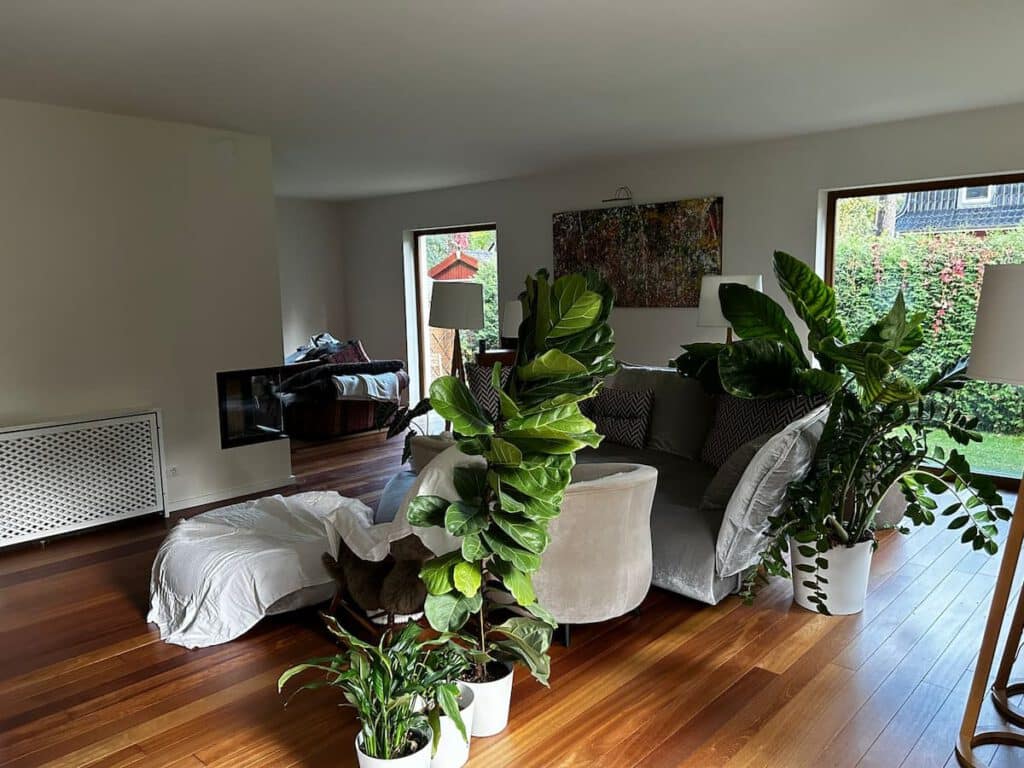 wohnzimmer in neuem glanz