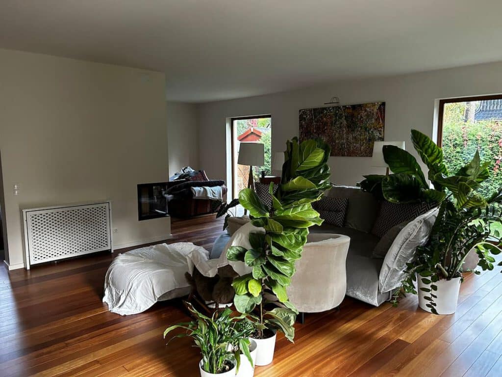 wohnzimmer gestrichen